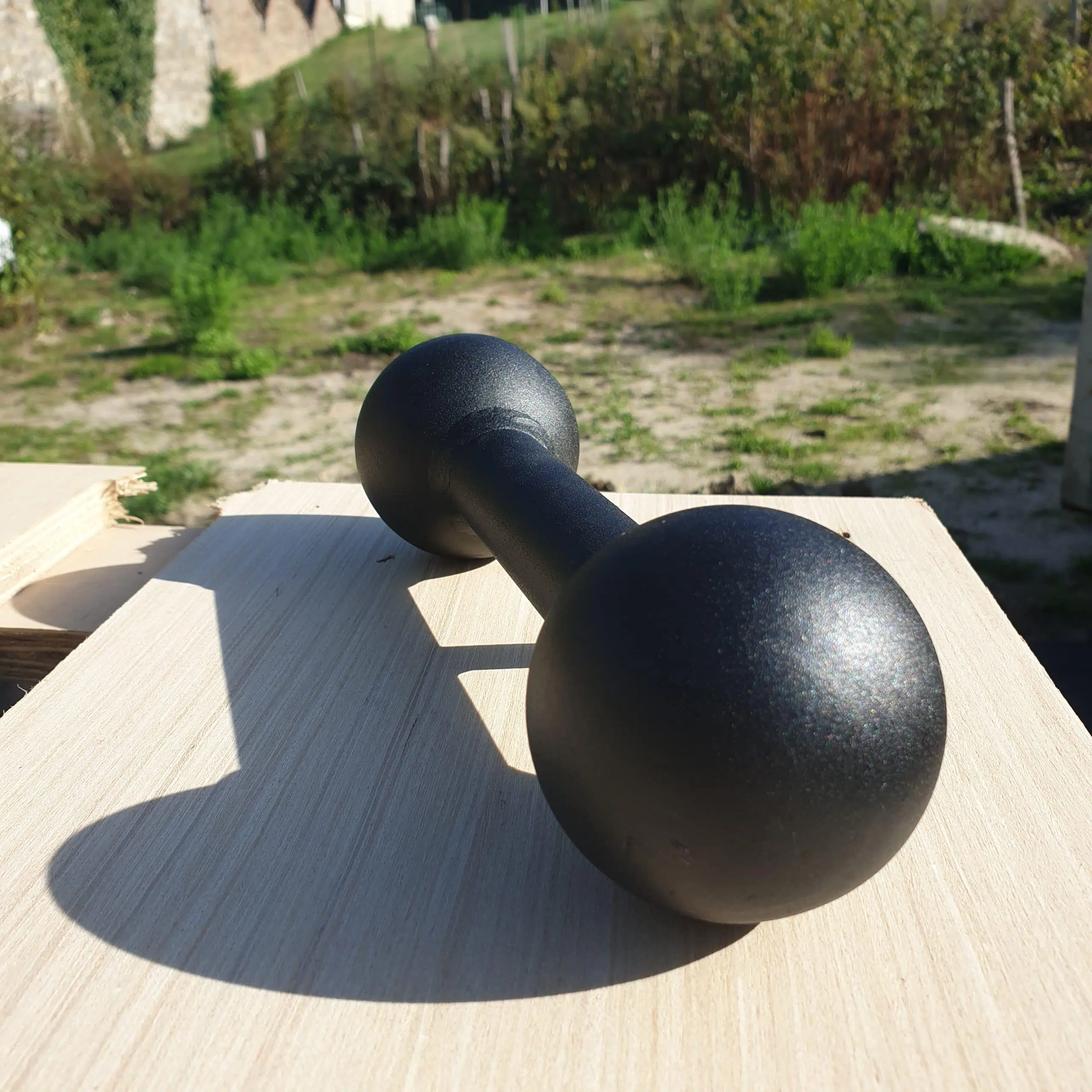 Dog Bone – Image 3