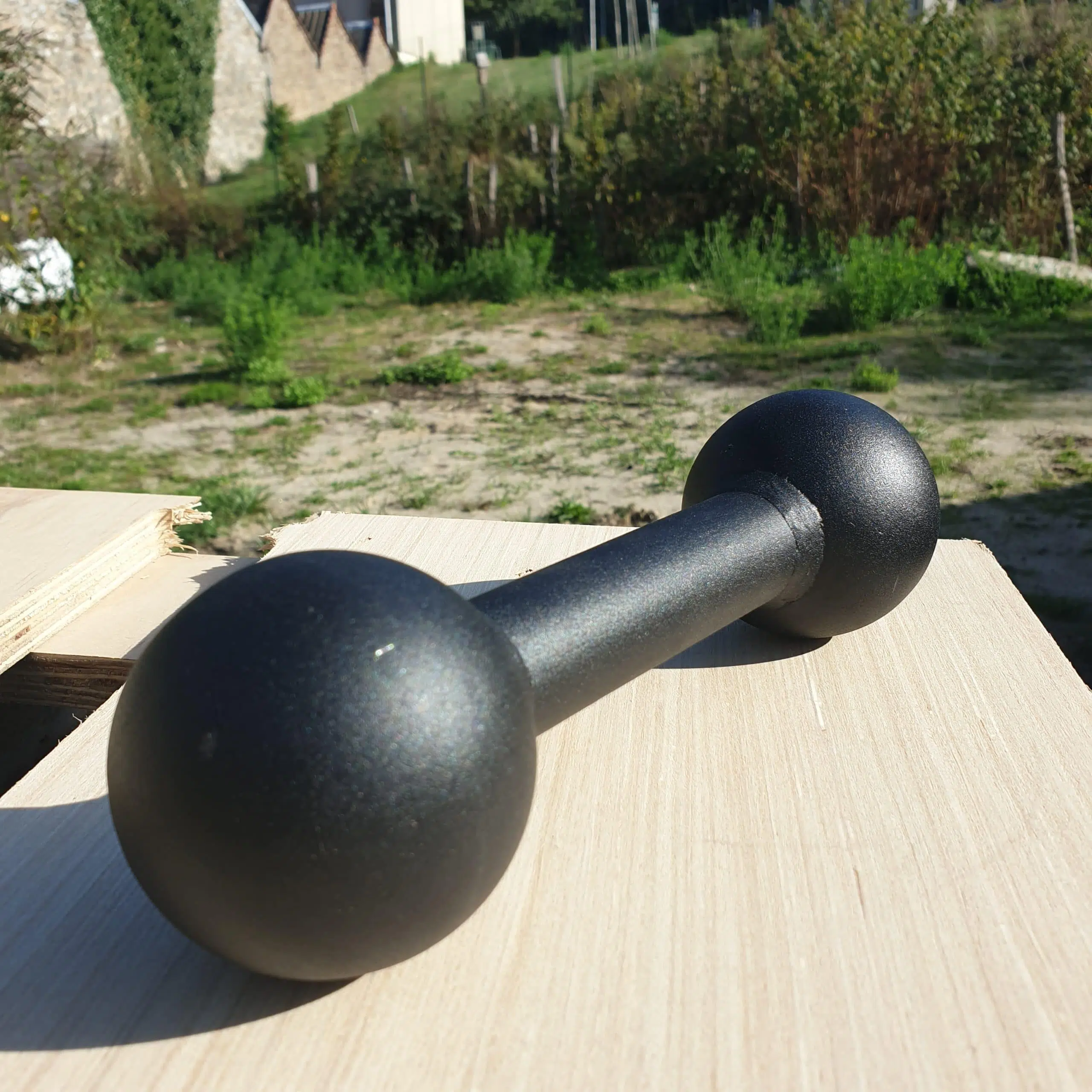 Dog Bone – Image 4