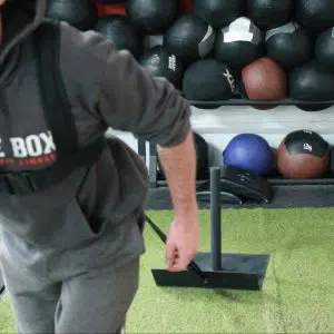 Sled de tirage (+ harnais + fixation)