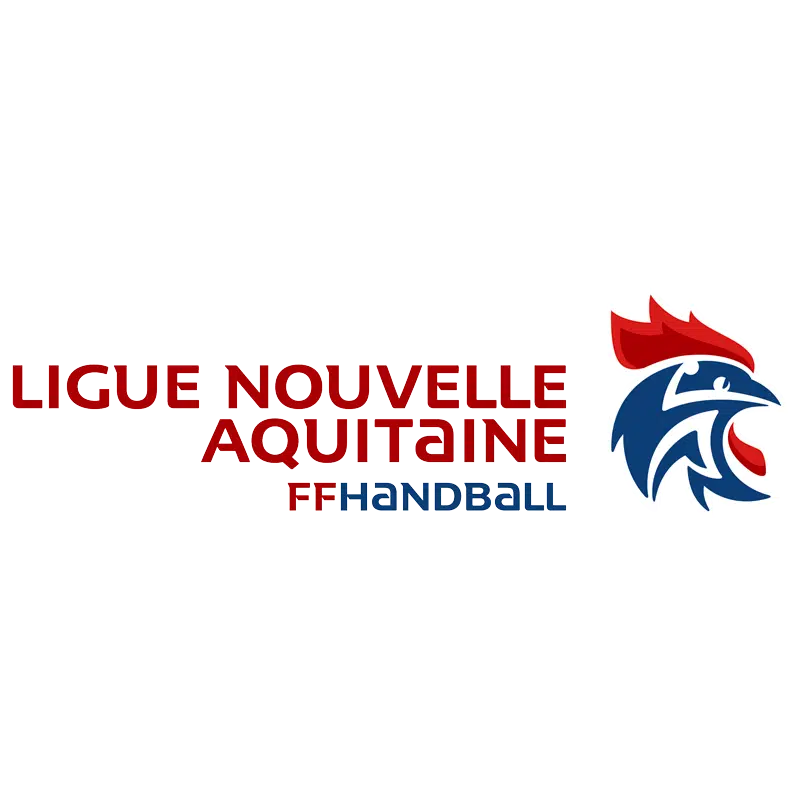 ligue-nouvelle-aquitaine-handball ligue-nouvelle-aquitaine-handball