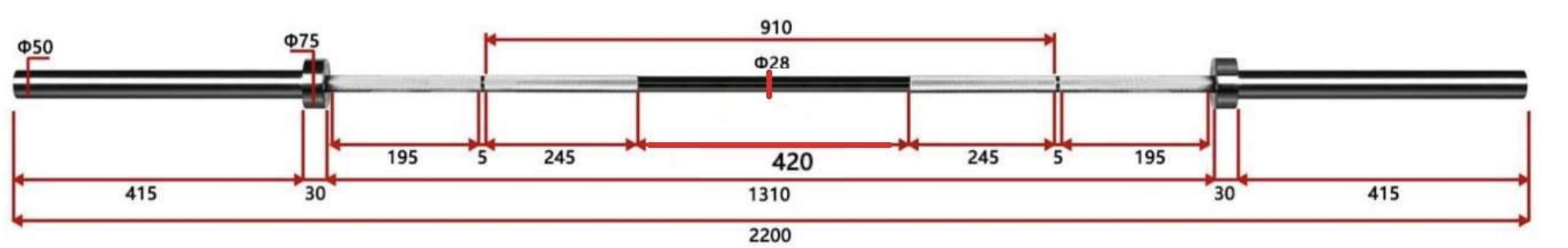 barre perf homme dimensions 