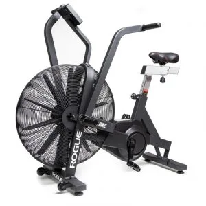 Rogue echo bike