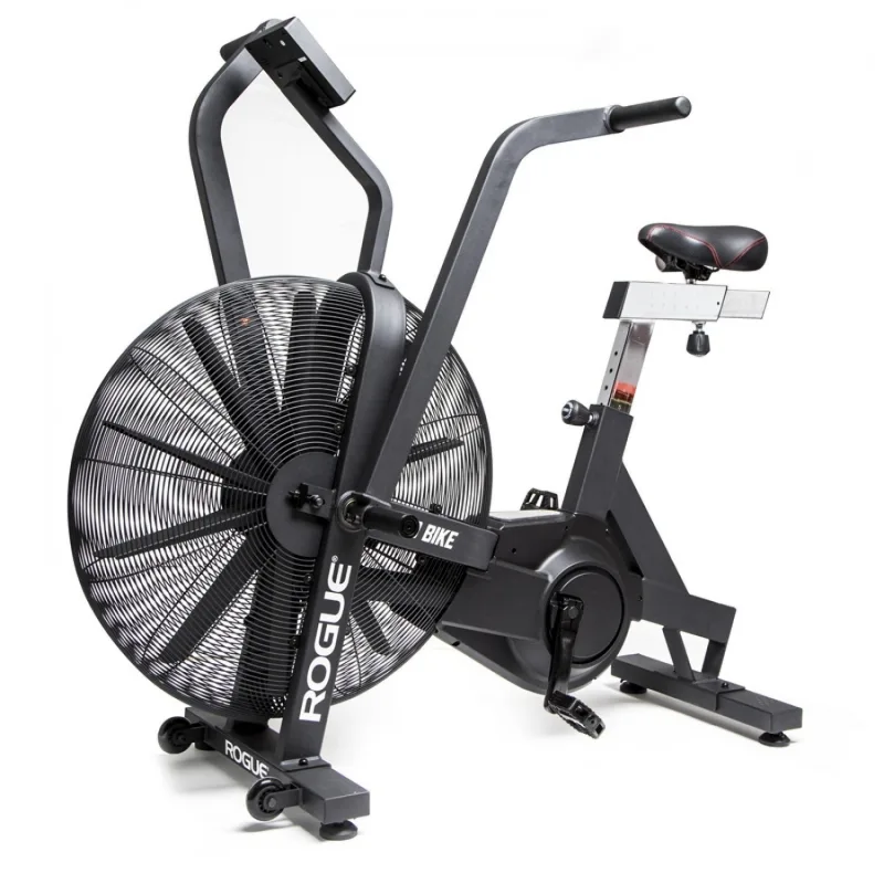 Rogue echo bike